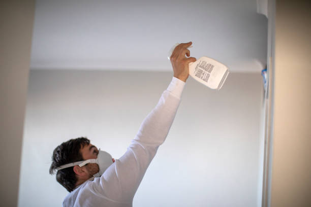 Best Home Mold Removal  in Muttontown, NY
